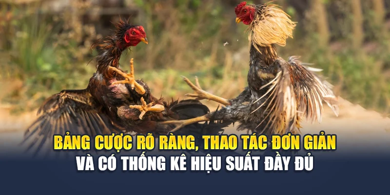 Đá Gà Sv128 Chất Lượng Cao, Kèo Rõ Ràng Tại Nhà Cái M88 2 Bảng cược rõ ràng, thao tác đơn giản và có thống kê hiệu suất đầy đủ