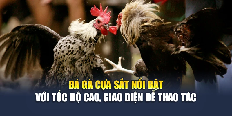 Đá Gà Cựa Sắt M88 Truyền Hình Chuẩn Hd, Dữ Liệu Đầy Đủ 1 Đá gà cựa sắt nổi bật với tốc độ cao, giao diện dễ thao tác