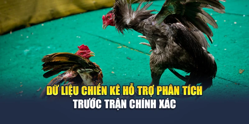 Đá Gà Cựa Sắt M88 Truyền Hình Chuẩn Hd, Dữ Liệu Đầy Đủ 2 Dữ liệu chiến kê hỗ trợ phân tích trước trận chính xác