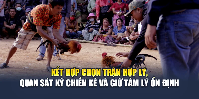 Đá Gà Trực Tiếp Sắc Nét, Tỷ Lệ Minh Bạch Mới Nhất Tại M88 3 Kết hợp chọn trận hợp lý, quan sát kỹ chiến kê và giữ tâm lý ổn định